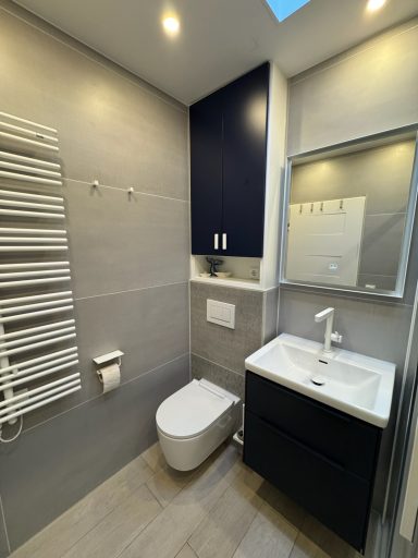 Links neben dem Waschtisch ein WC. Darüber ein Schrank in blau mit Nische unten. Links an der Wand eine Heizung und Toilettenpapier.