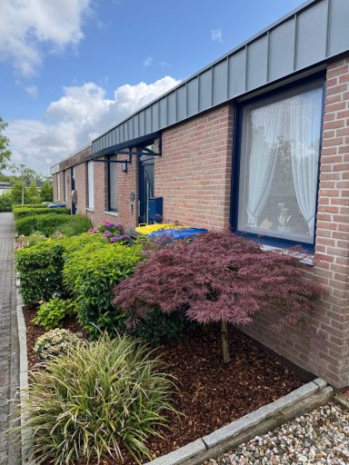 Vorgarten mit Bepflanzung vor einem Backsteinhaus