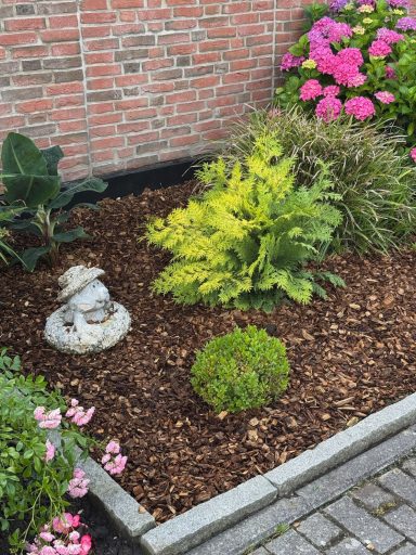 Vorgarten mit Bepflanzung und einer Deko-Figur eines Maulwurfs